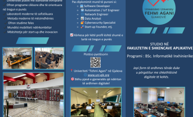Broshura e programit - Informatikë Inxhinierike
